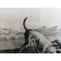 Grafika. Scenka myśliwska z psami. XIX wiek
